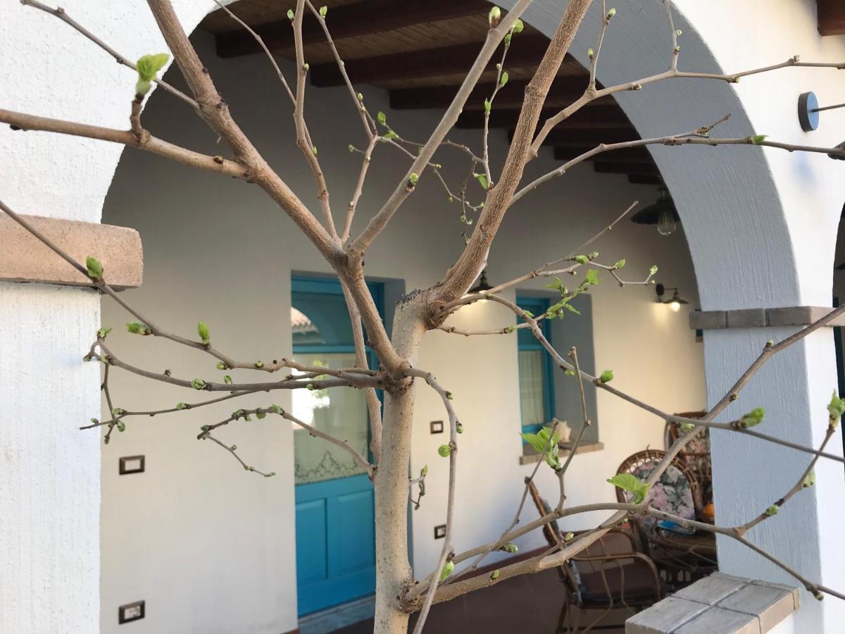 Centu Concas Bed & Breakfast Muravera Ngoại thất bức ảnh